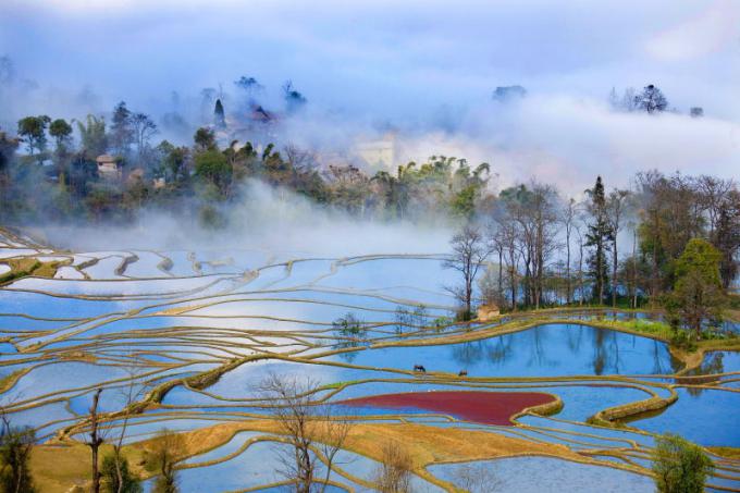 元阳梯田在哪里？元阳梯田旅游摄影-3