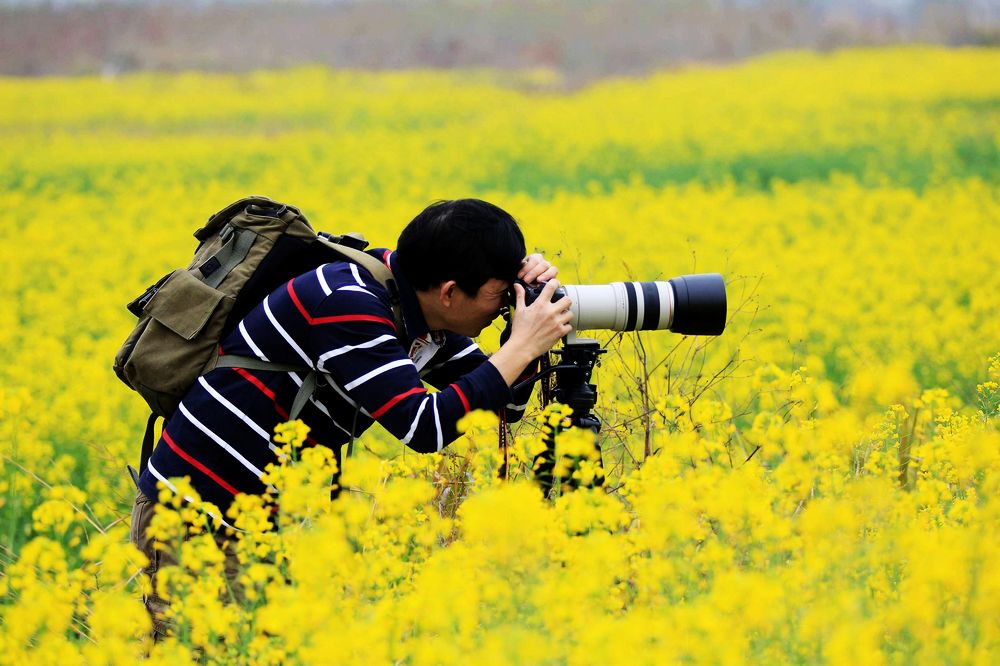 摄影师推荐的十大油菜花摄影之地-1