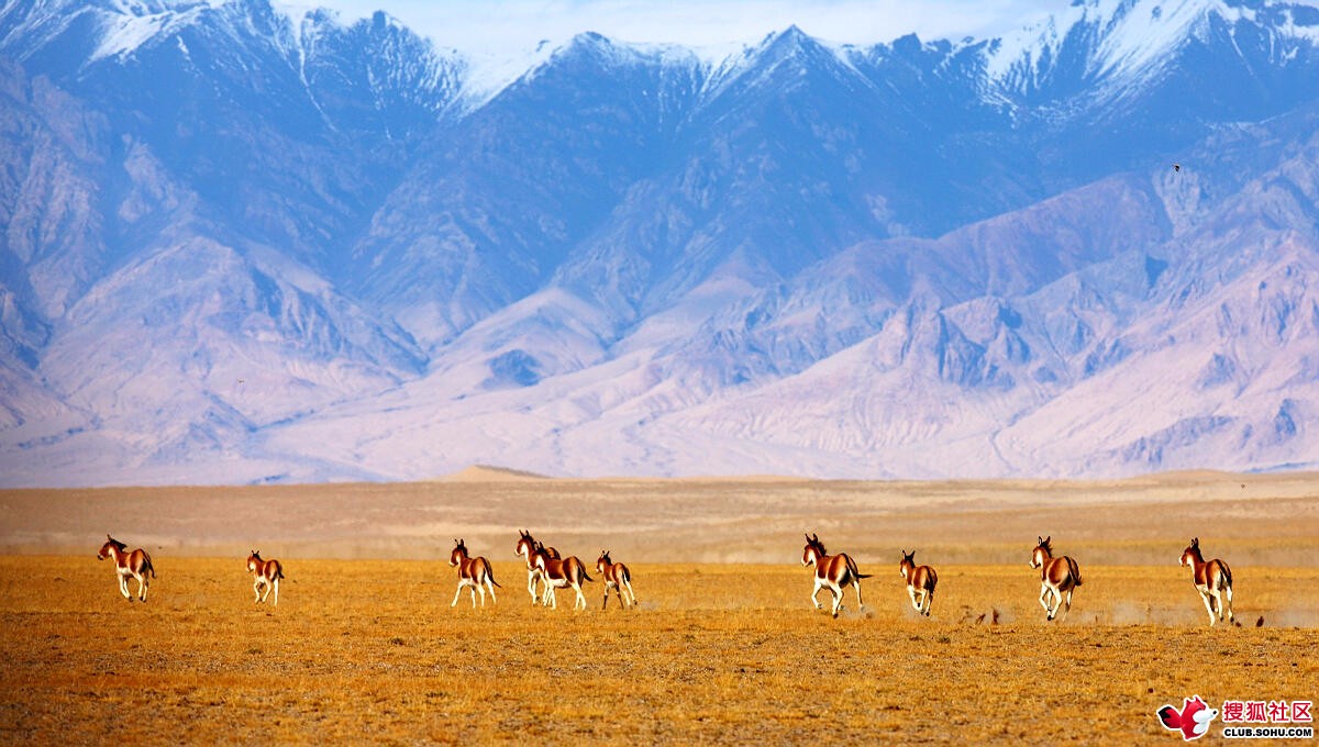 新疆的“中国之最”，震撼-8